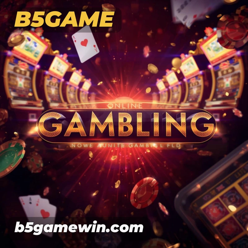 b5game Salvador - Support